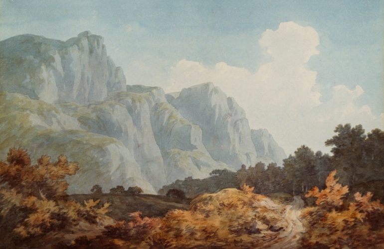 brown and grey trees and rock formation painting