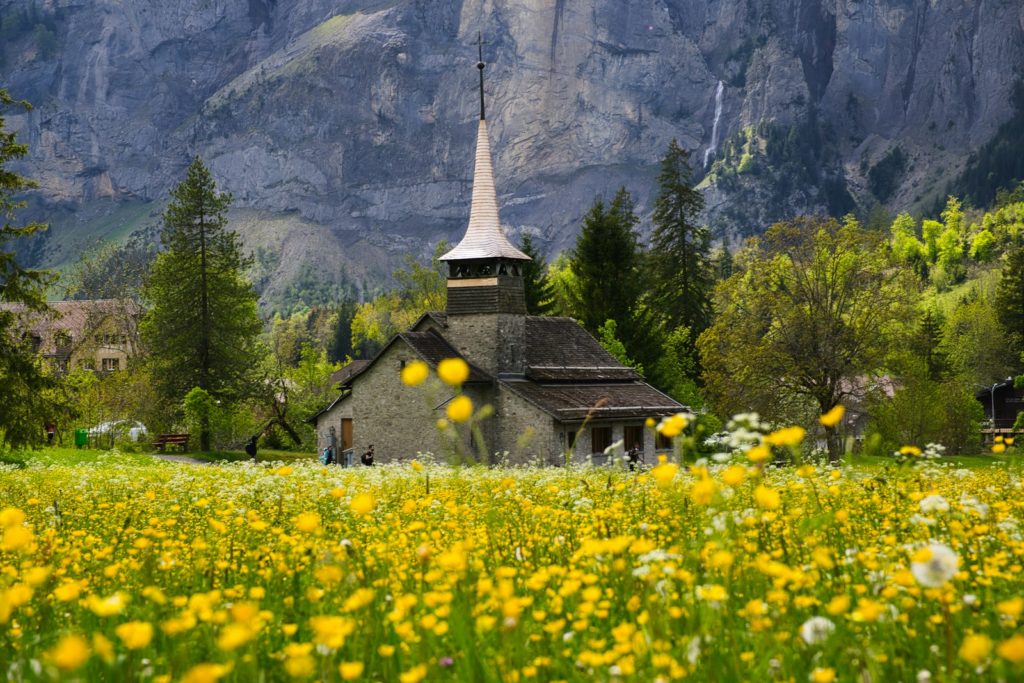 A church sits in a field of flowers.